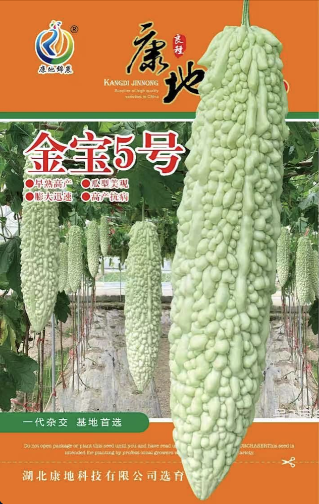 金寶五號